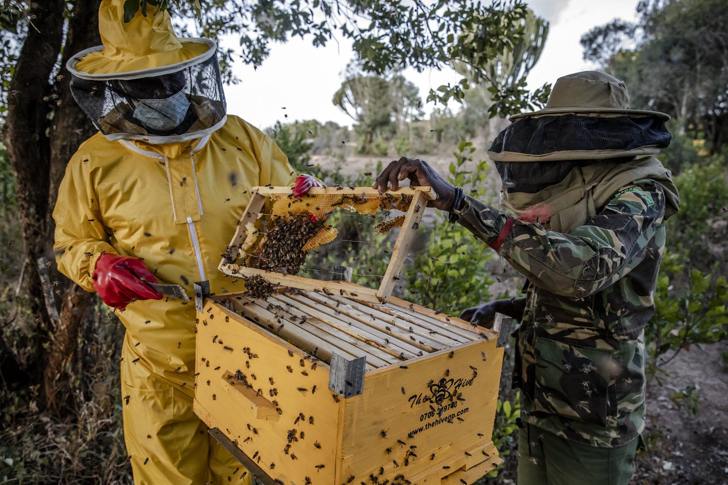 cases banner works-img