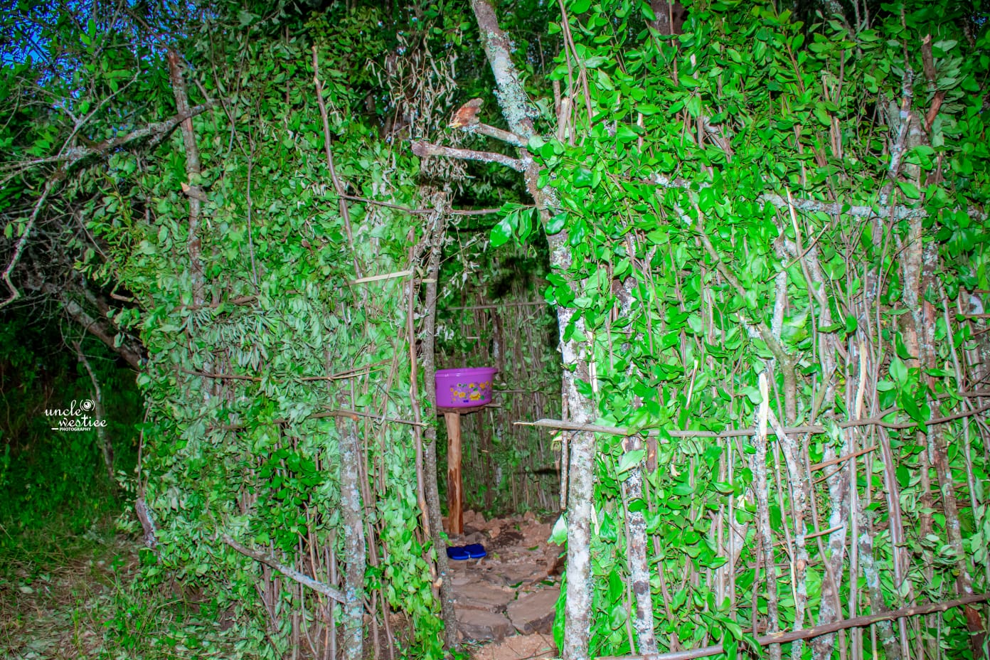 cases banner works-img