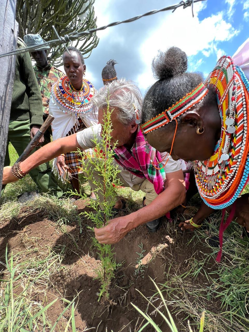 cases banner works-img