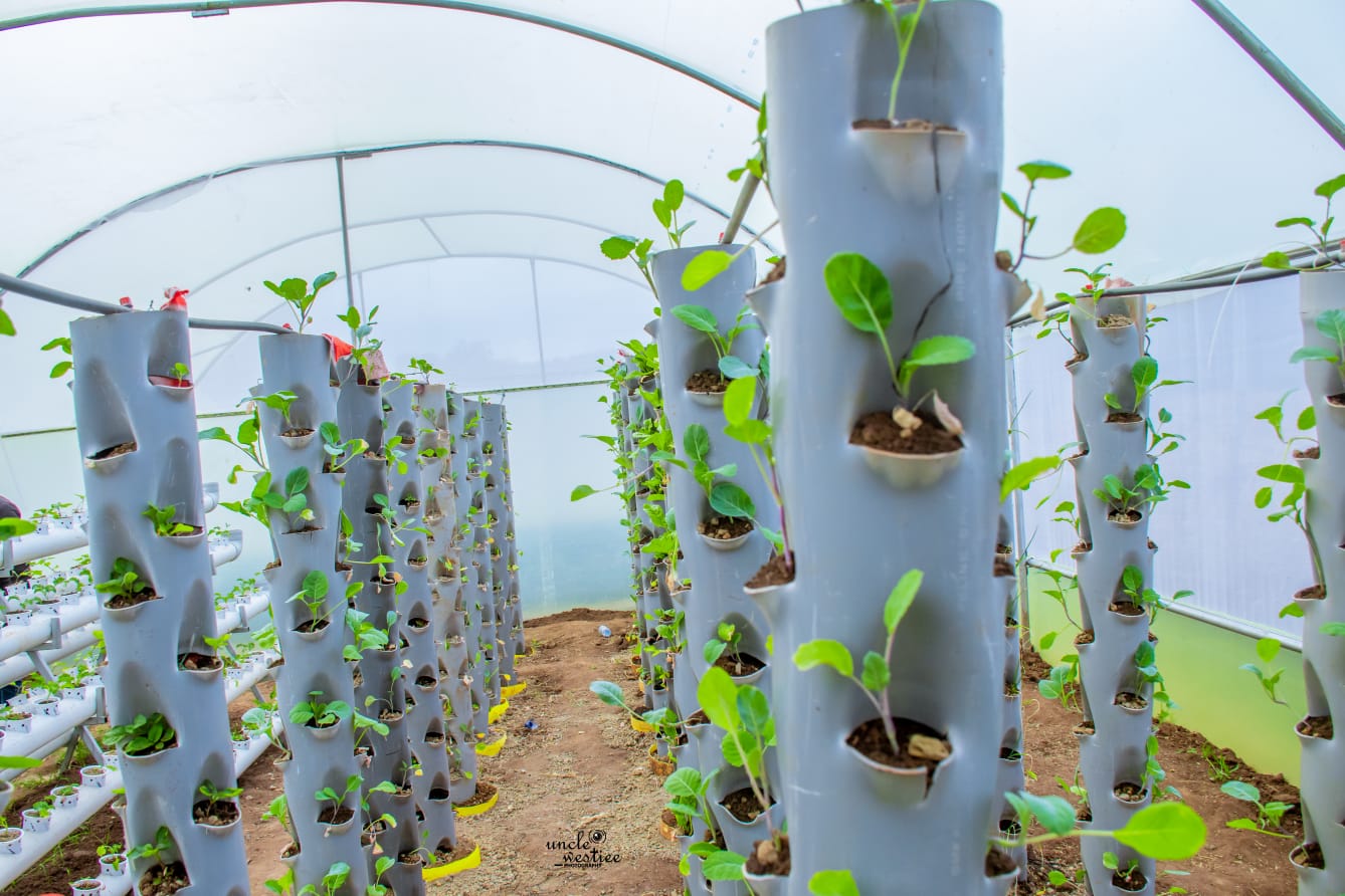 cases banner works-img