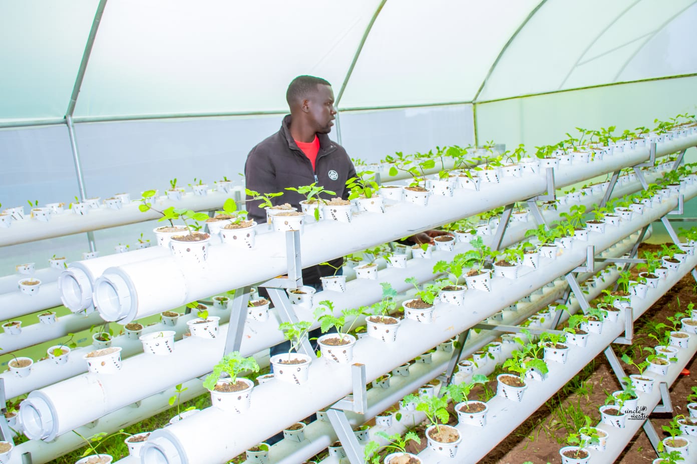 cases banner works-img