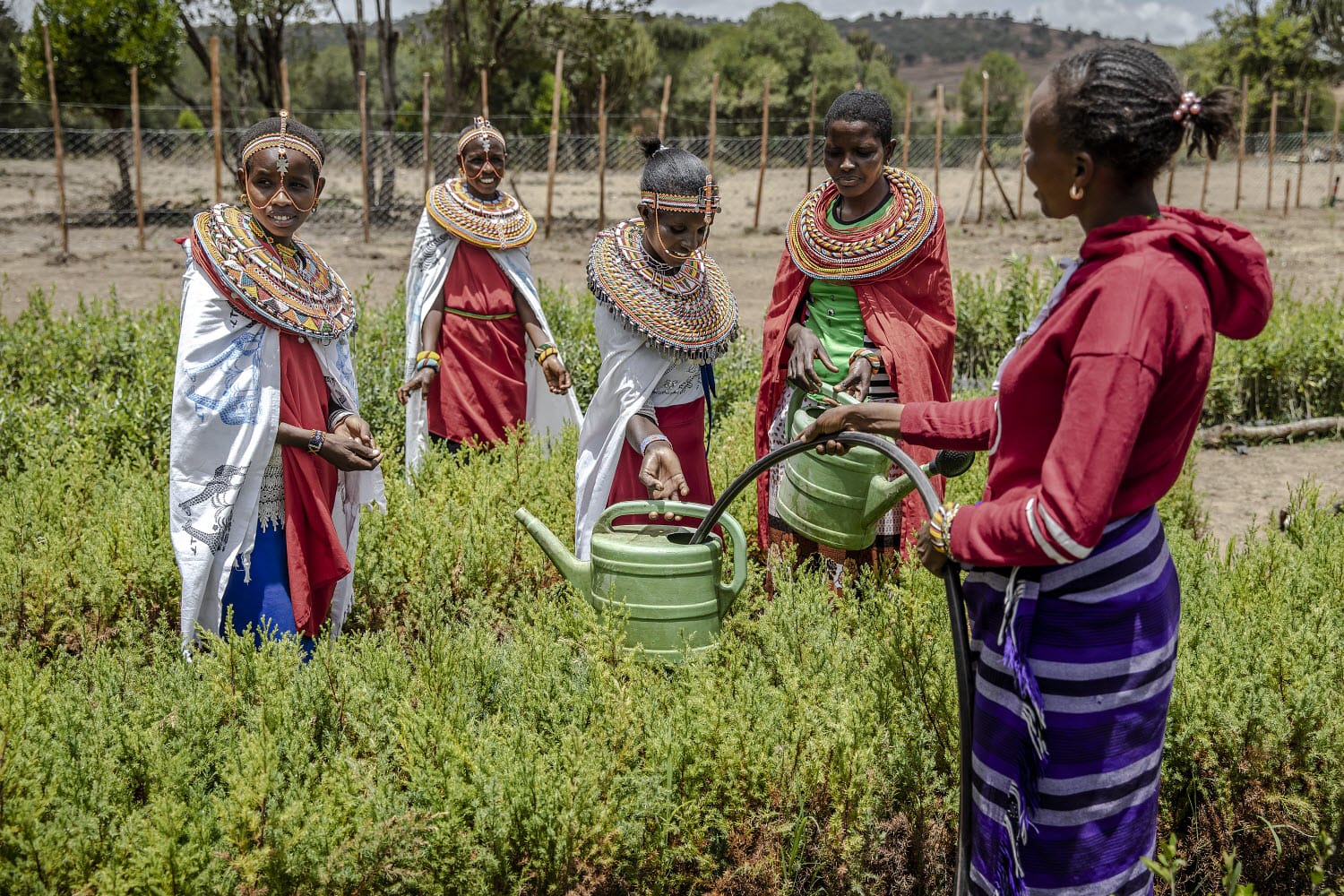 cases banner works-img